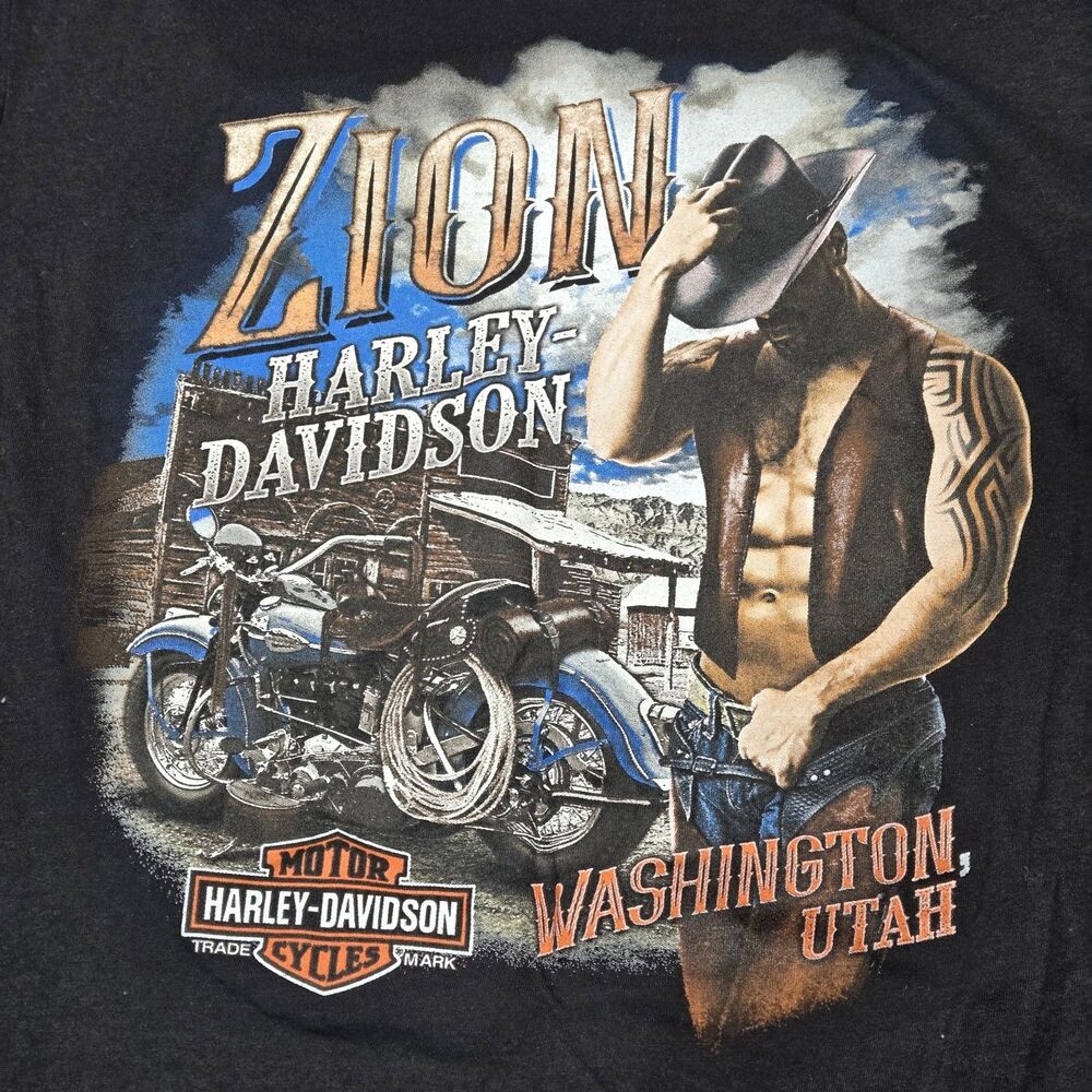 Harley-Davidson Zion Utah Shirt Women’s L Black V-Neck Graphic T-Shirt - Picture 3 of 11